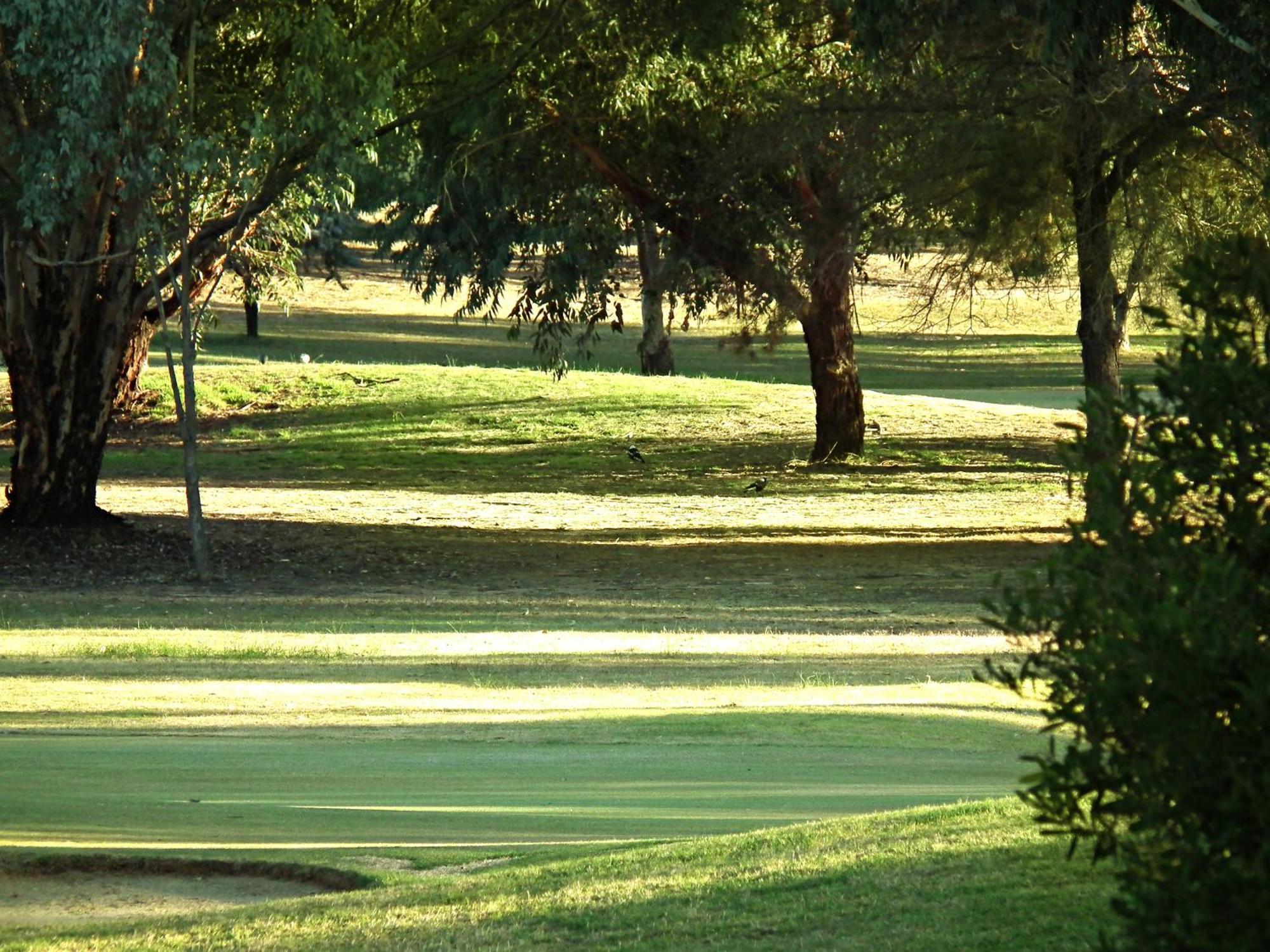 Cobram Barooga Golf Resort Pokój zdjęcie